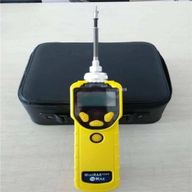 MiniRAE 3000 泵吸式VOC检测仪 PGM-7320